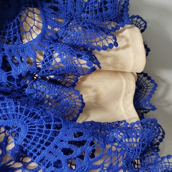 Hidden Label Royal Blue Crochet Lace Dress, Lined, Size Small - Picture 6 of 9